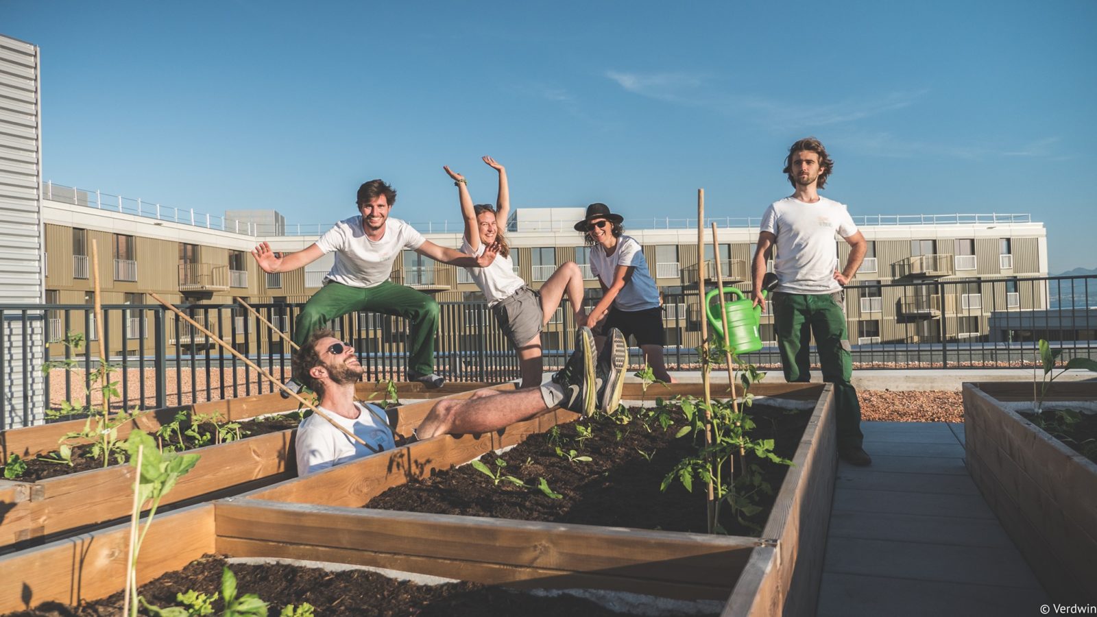 Swiss urban agriculture solution “Légumes Perchés” amongst finalists of the best sustainable startup award organized by “Le Temps”
