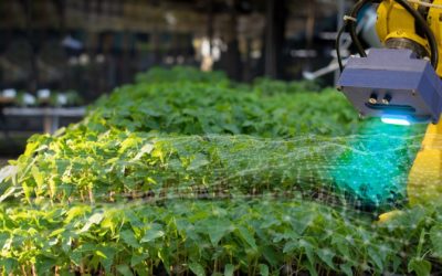 Join the upcoming China AgriFood Tech Bootcamp 2021