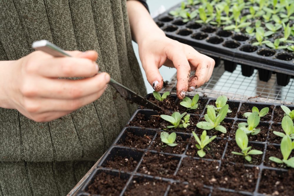 Agropôle Brings Together Agritech Players to Boost Innovation