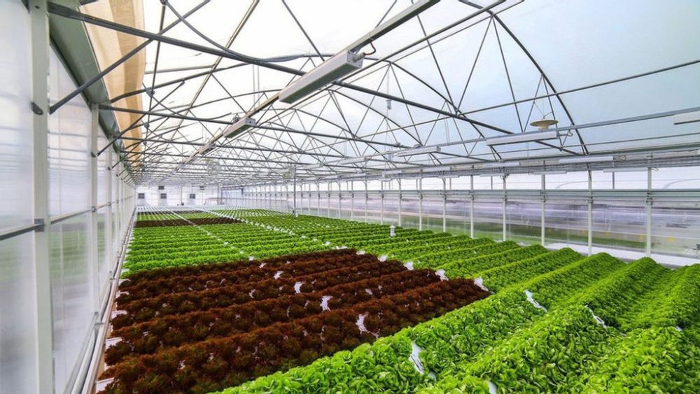 green house