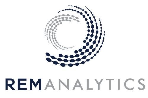rem analytics logo