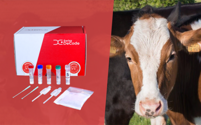 DNAFoil® A2 Cow Test: SwissDeCode’s Newest Product