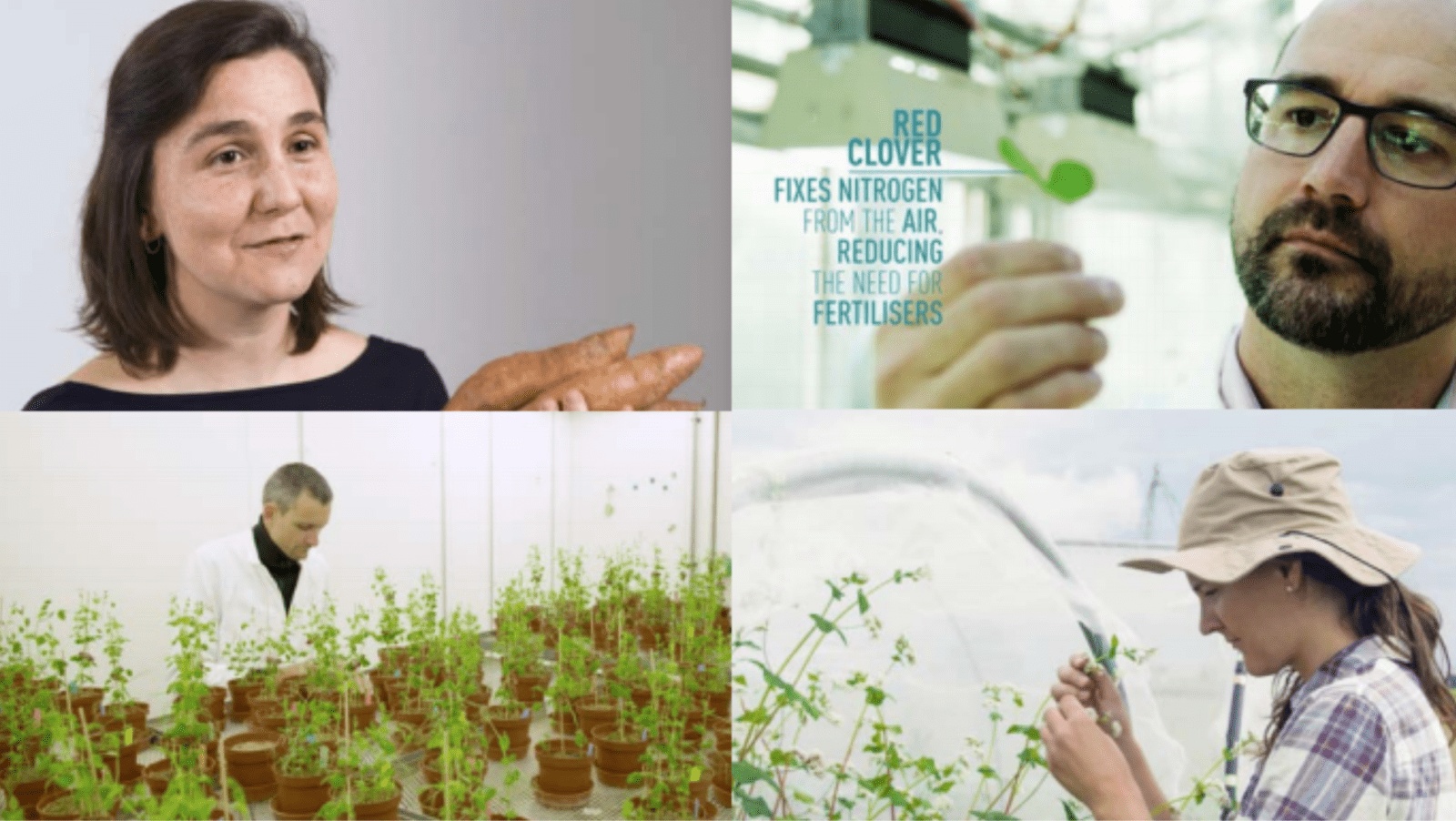 Science Stories – WFSC Short Films Premiere | 25th May 2021