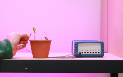 PhytlSigns by Vivent: The ‘FitBit of Plants’ using tech to tap into plant signalling