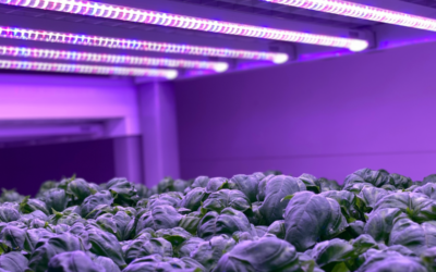 This Swiss startup’s AI-powered solution is leveraging data to improve how we farm.