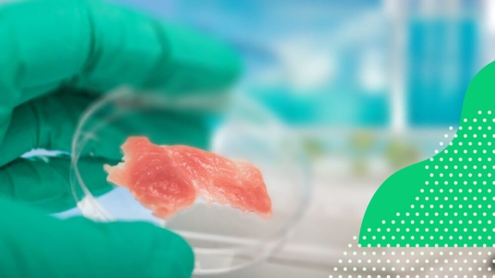 State of Play Switzerland Future Proteins The pathway to cultured