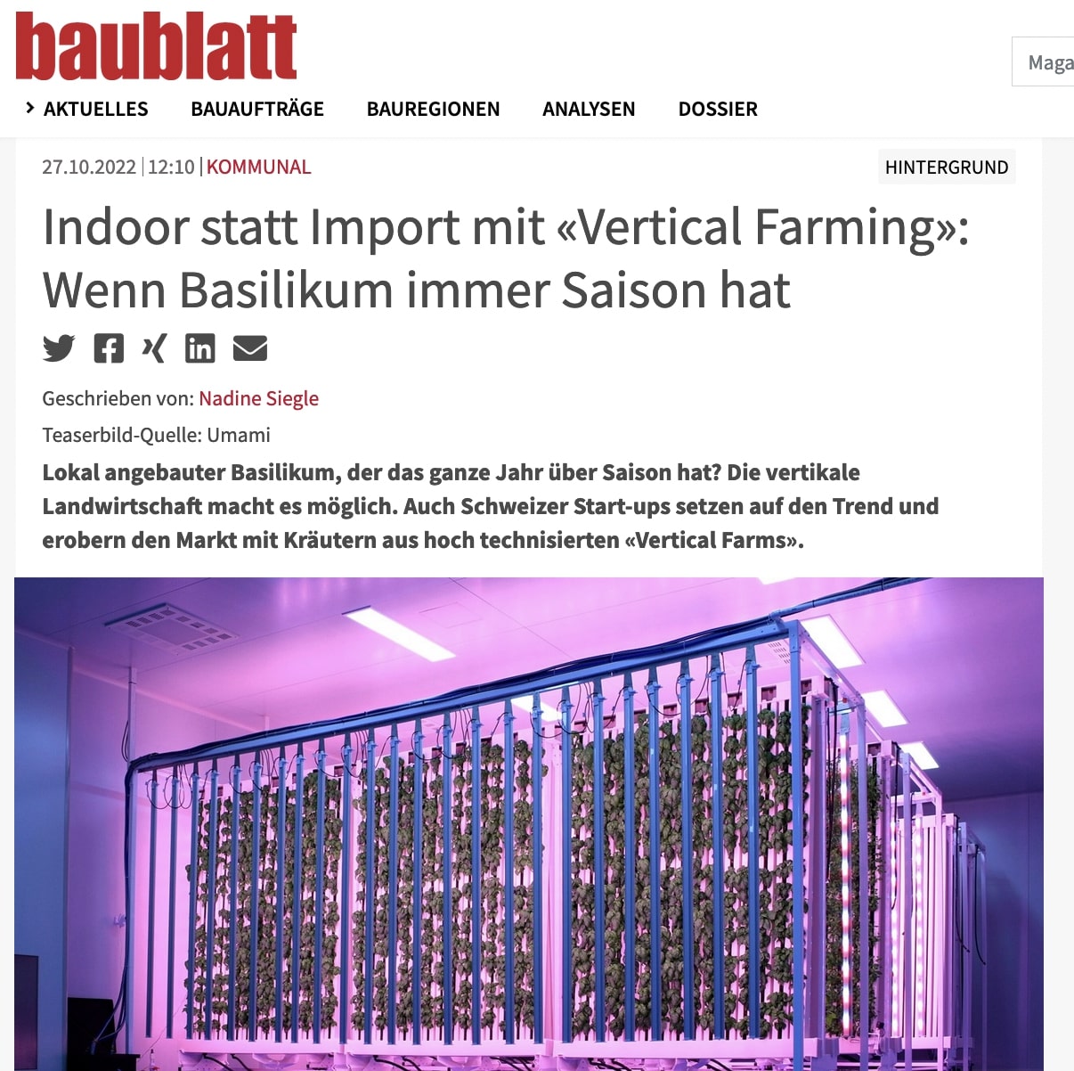 Baublatt magazine article