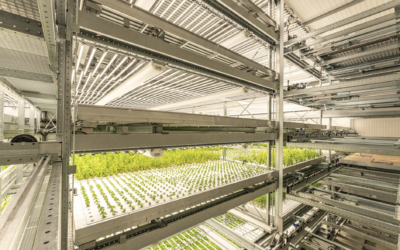 Four Swiss research & innovation leaders team up to shape the future of vertical farming
