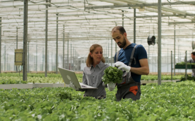 AgriFood innovation in Fribourg: an ecosystem approach