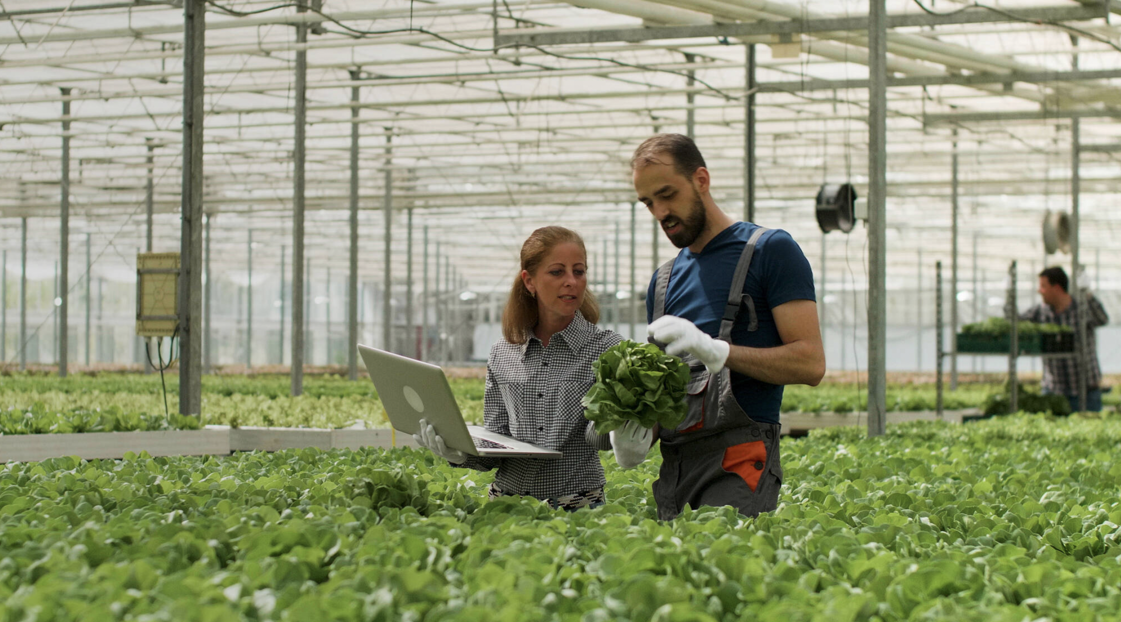 AgriFood innovation in Fribourg: an ecosystem approach