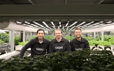 YASAI AG achieves coveted B Corp Certification and is ready for expansion