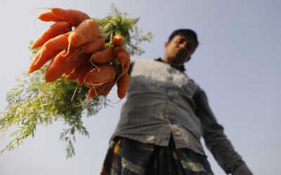 Hidden costs of global agrifood systems worth at least $10 trillion