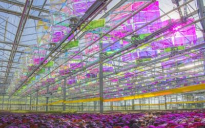 Voltiris secures CHF 4.8 million seed financing to power high-tech greenhouses