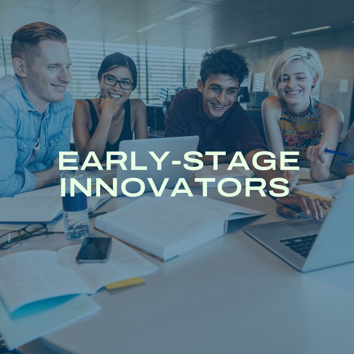 Early stage innovator - description