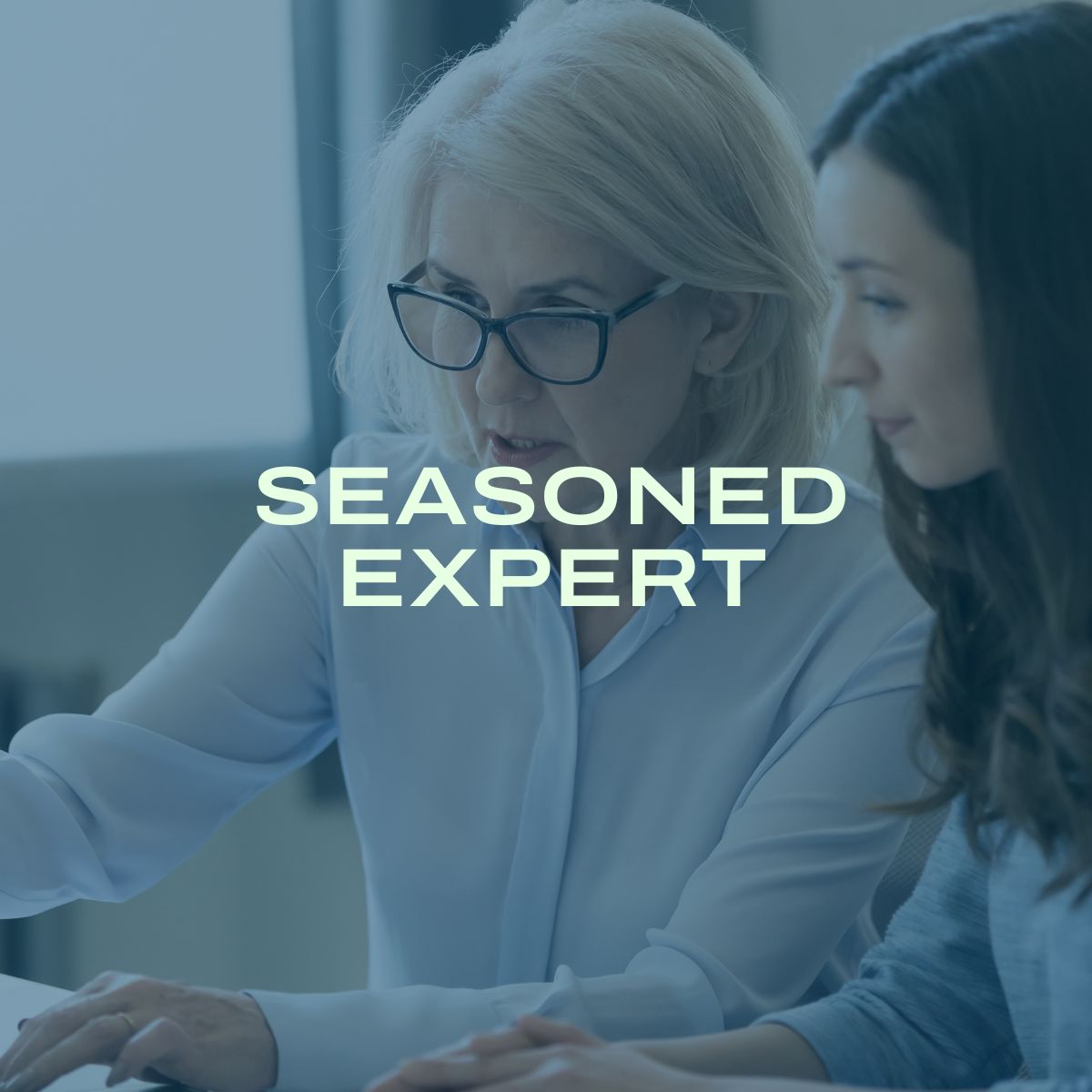 Seasoned expert - description