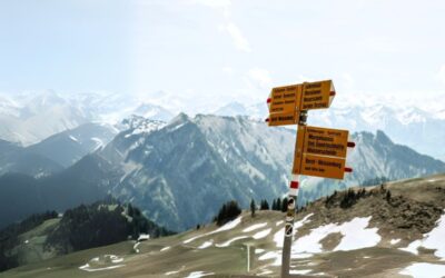 Discover Switzerland’s food innovation ecosystem with the SFNV Navigator