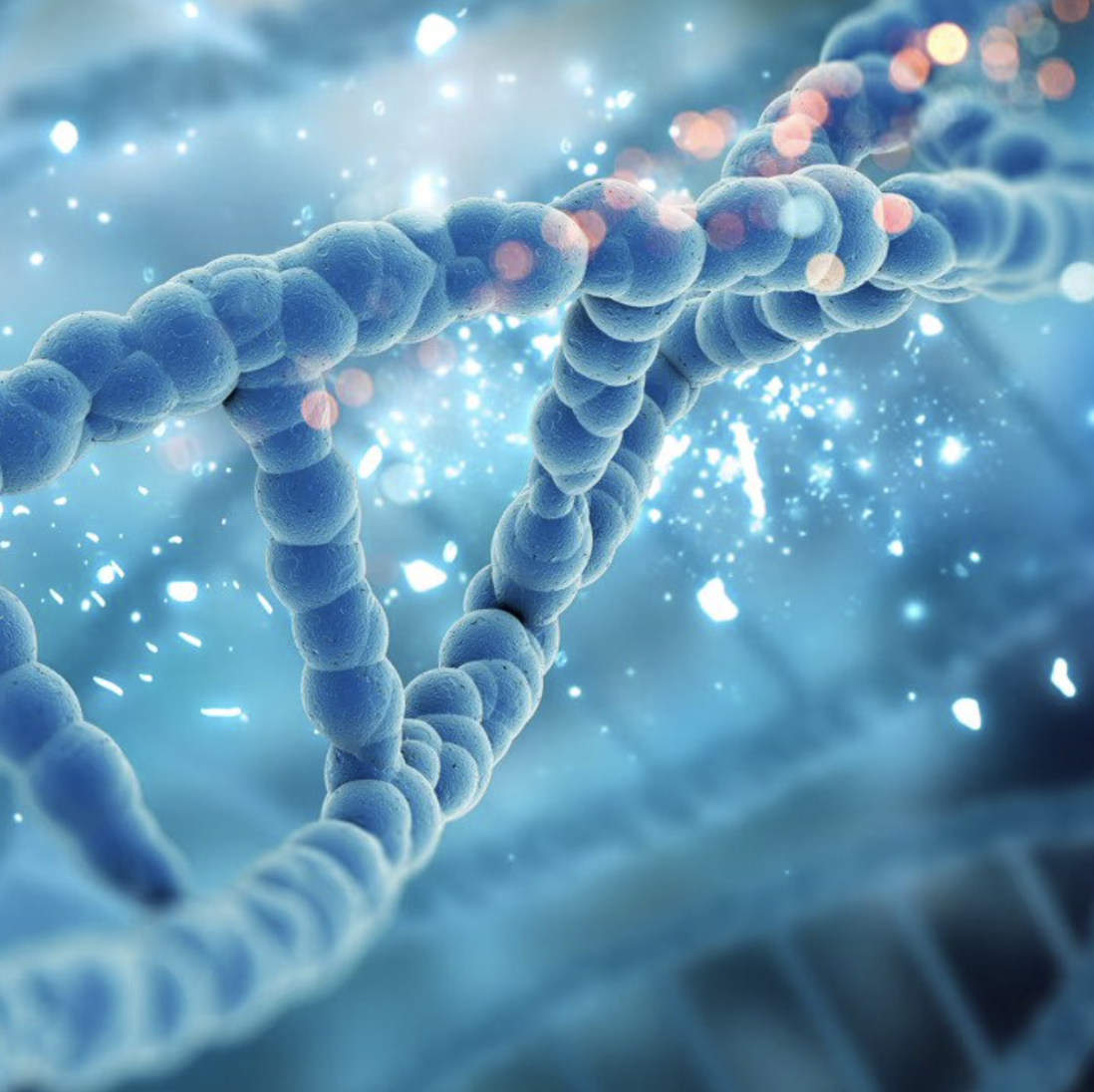 Abrinca Genomics_Deal Flow genknowme Logo