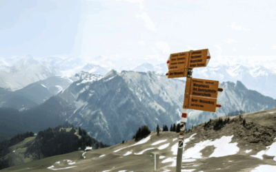 Introducing the SFNV Navigator: Discover Switzerland’s food innovation ecosystem