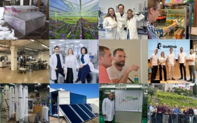 Five years of innovation: six Swiss startups share their journeys