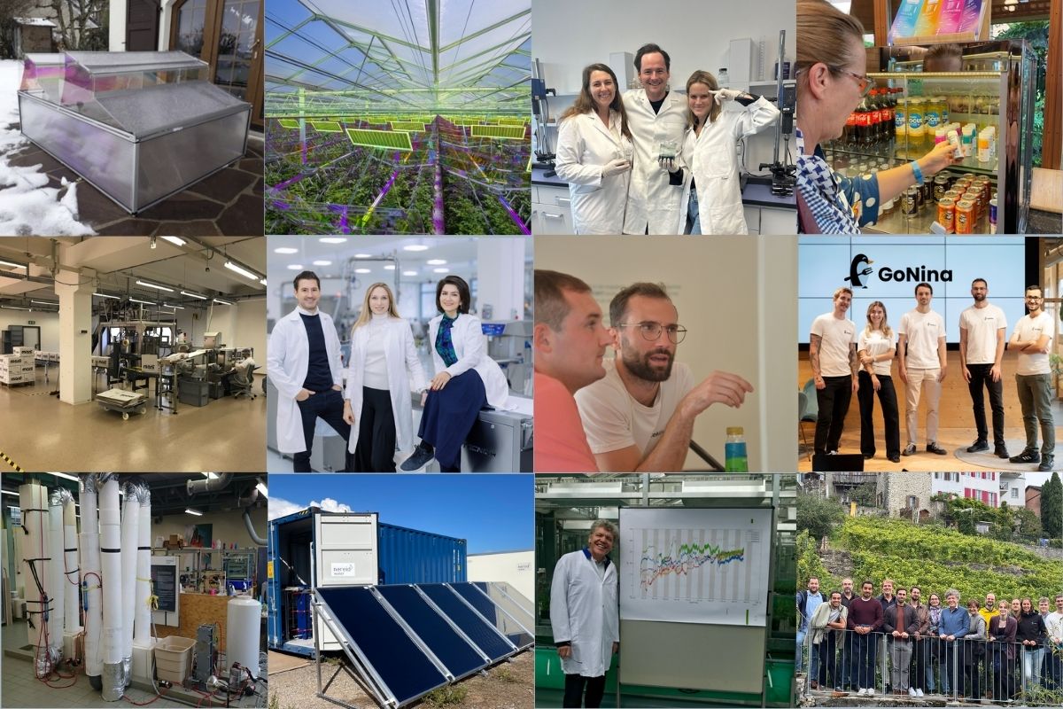 Five years of innovation: Six Swiss startups share their journeys