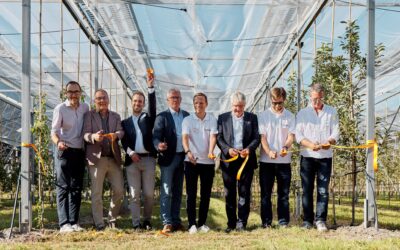Insolight opens its first agrivoltaic orchard installation in Conthey