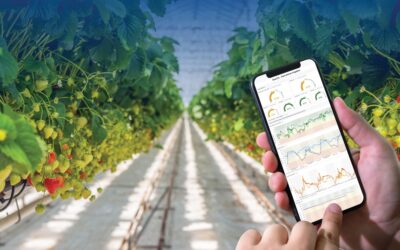 Vivent biosignals raises €7.5M including investments from agri investment fund, horticoop and Pymwymic.