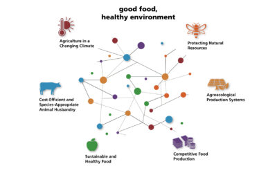Agroscope’s new work programme places a greater focus on impact and practical benefits
