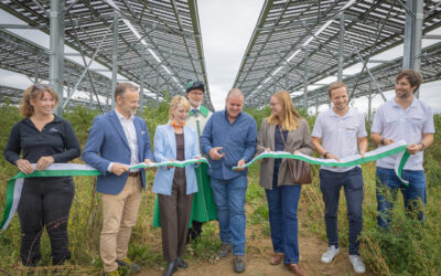 Valley partner Insolight powers Switzerland’s largest agri-PV project